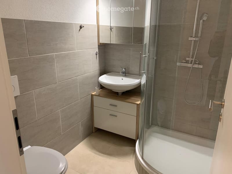 4.5-Zimmer-Wohnung im Grünen (3)