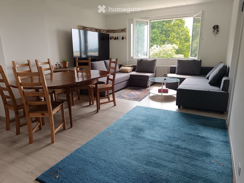 Appartement de 3,5 pièces avec vue panoramique (2)