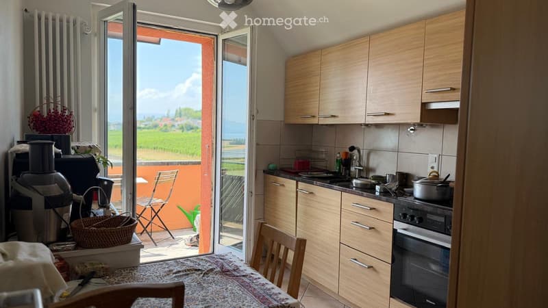 Appartement de 3,5 pièces avec vue panoramique (3)