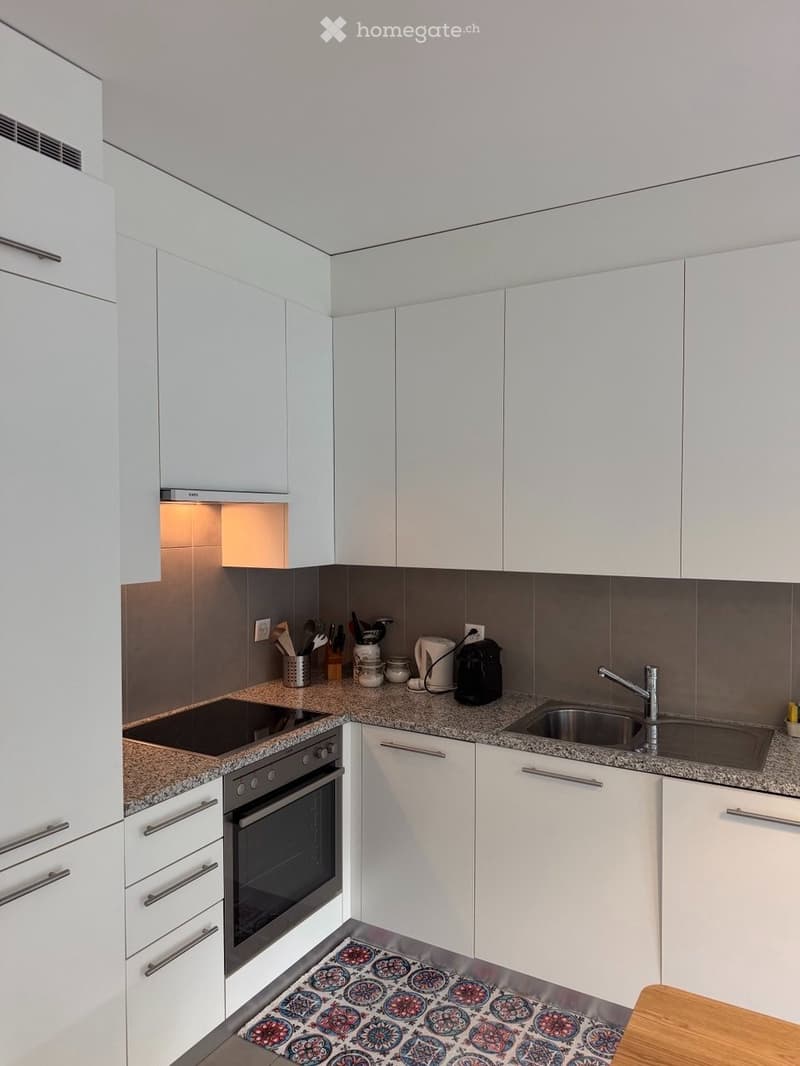 Appartamento 3,5 2 bagni 2 camere da letto + garage (3)
