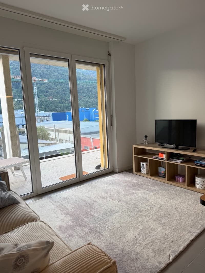 Appartamento 3,5 2 bagni 2 camere da letto + garage (2)