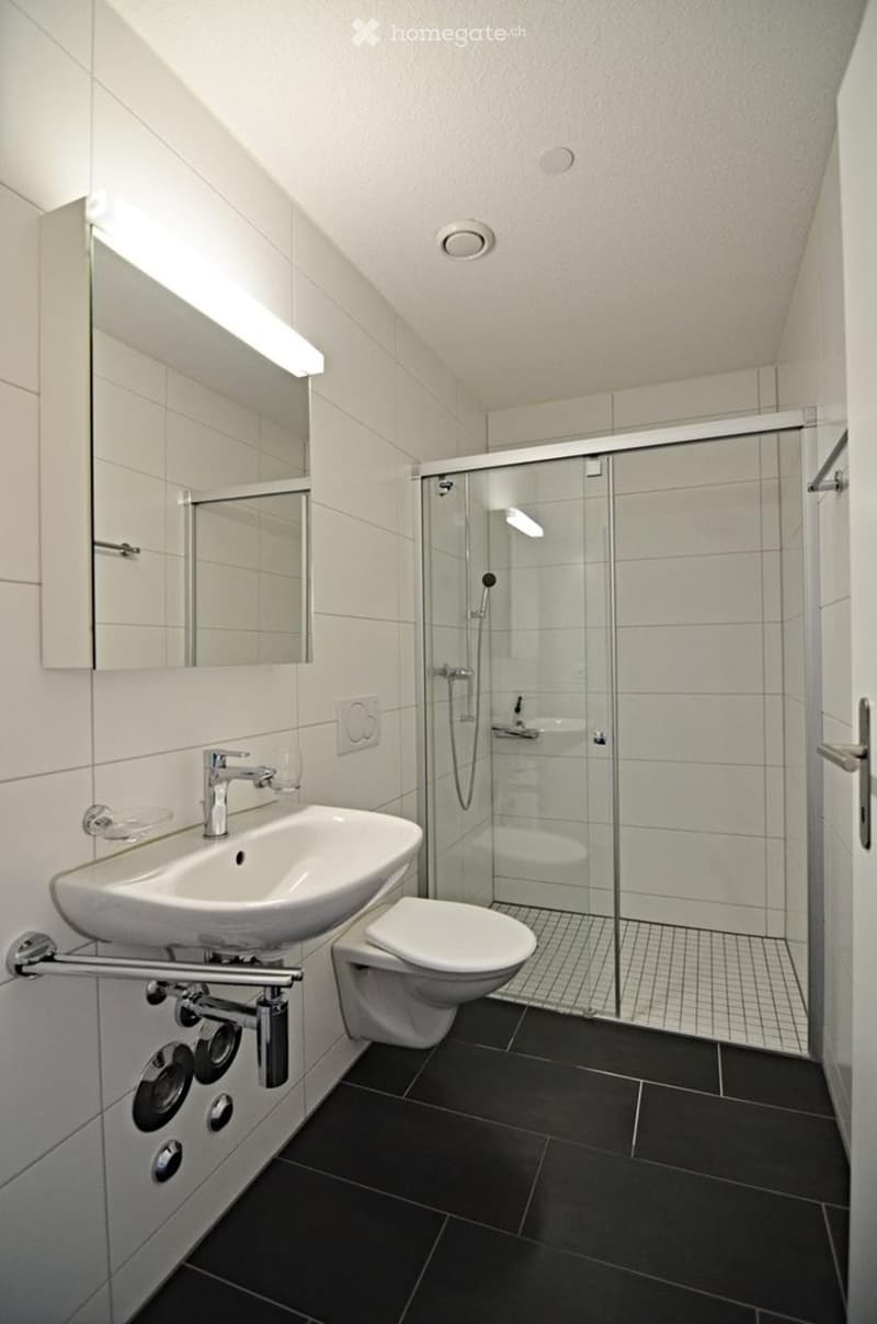 Wohnung 3,5 Buchs ZH (3)