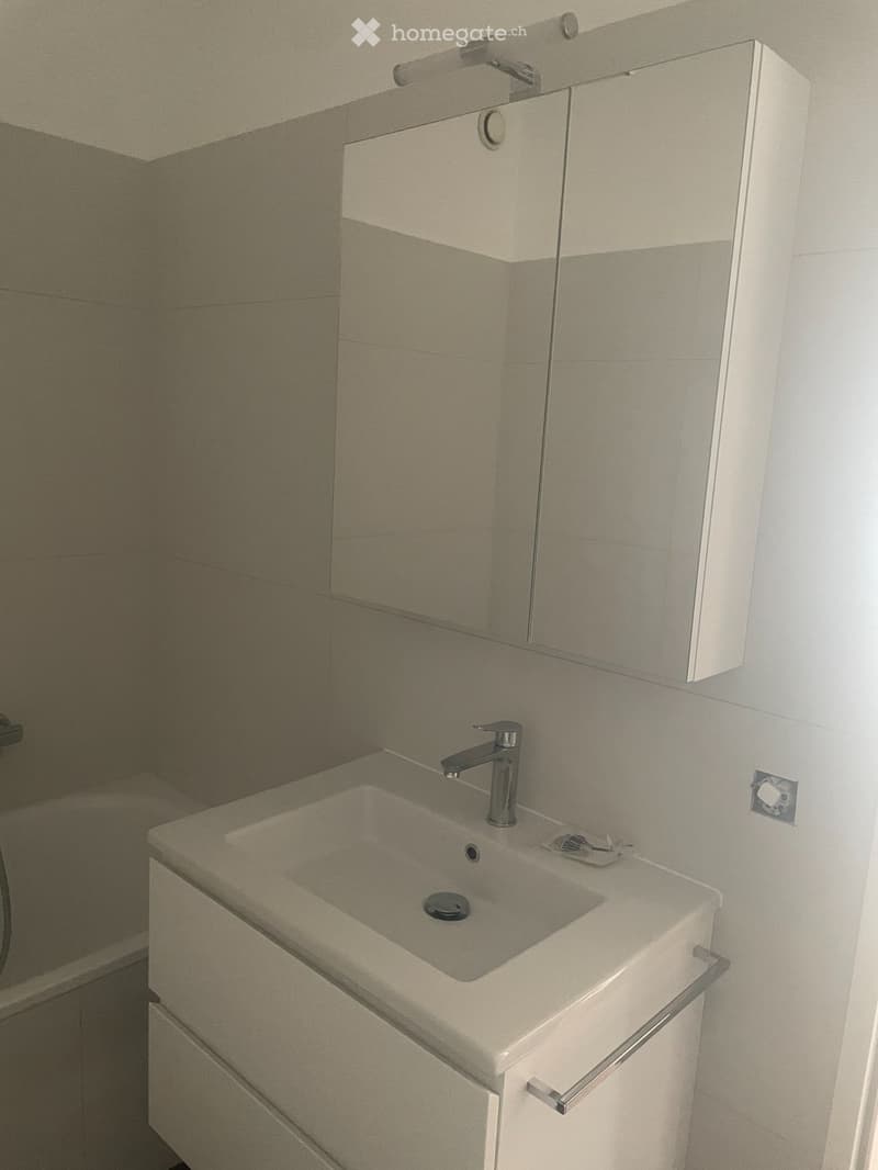 Affittasi luminoso 3,5 a Bellinzona (2)