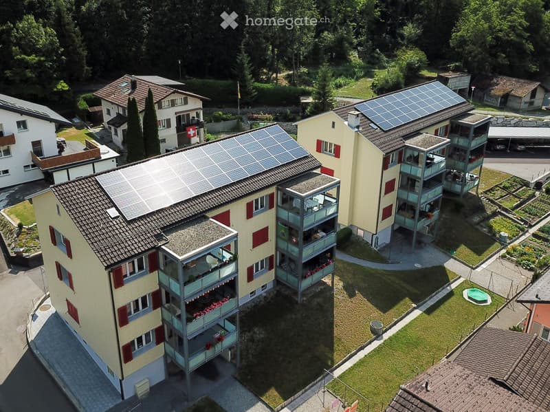 Wohnung mit grossem Balkon (5)