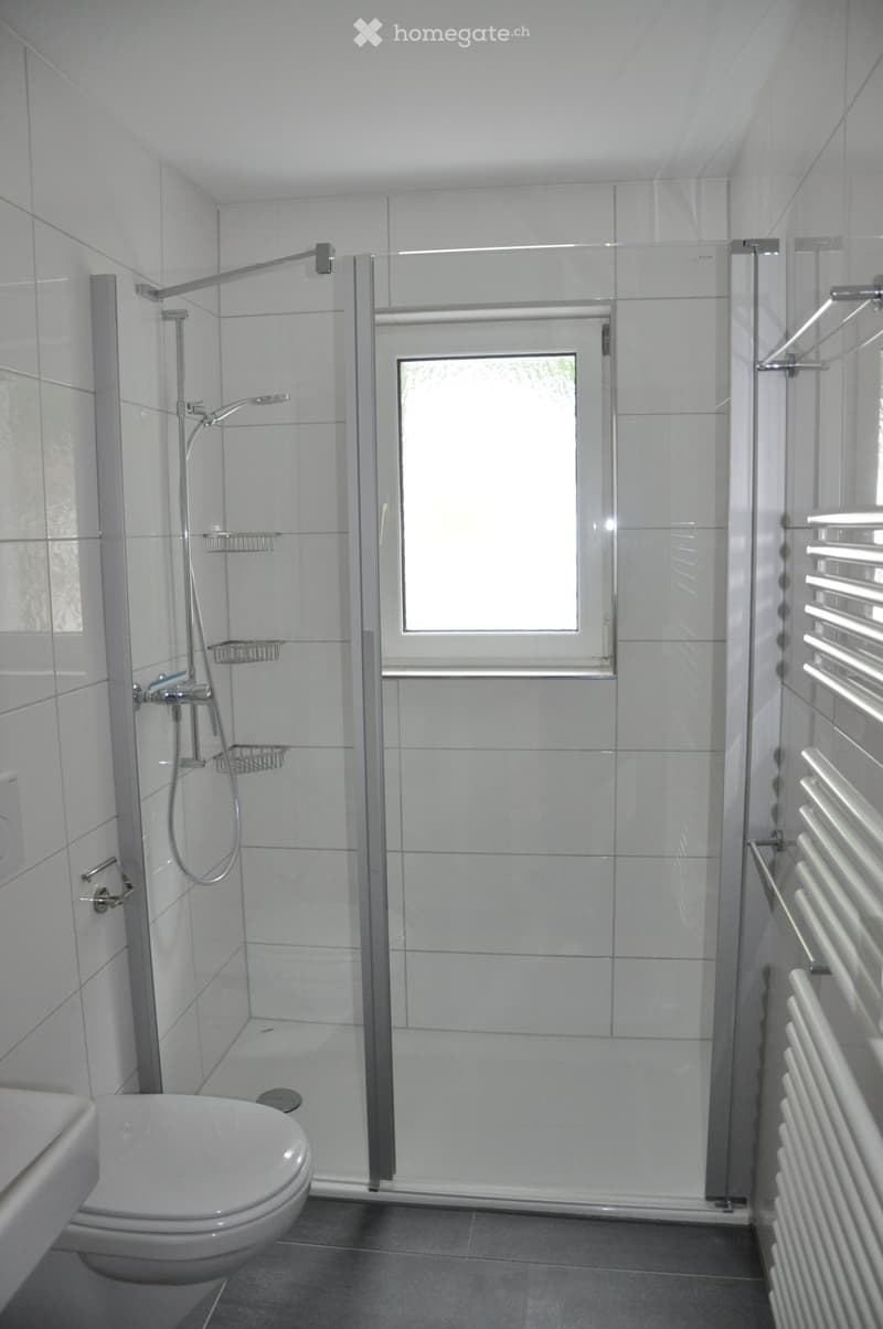Wohnung mit grossem Balkon (2)