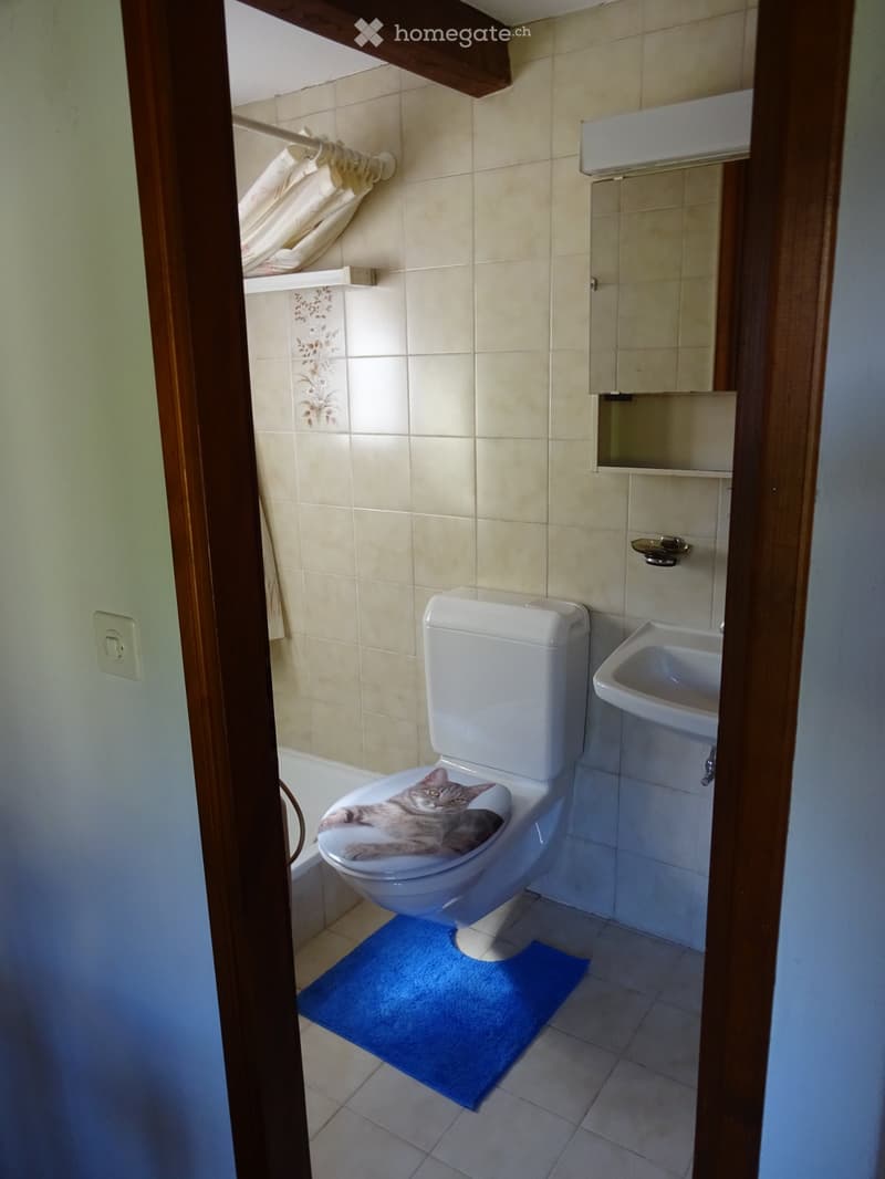 Casetta a Lodano ( Vallemaggia ) (4)