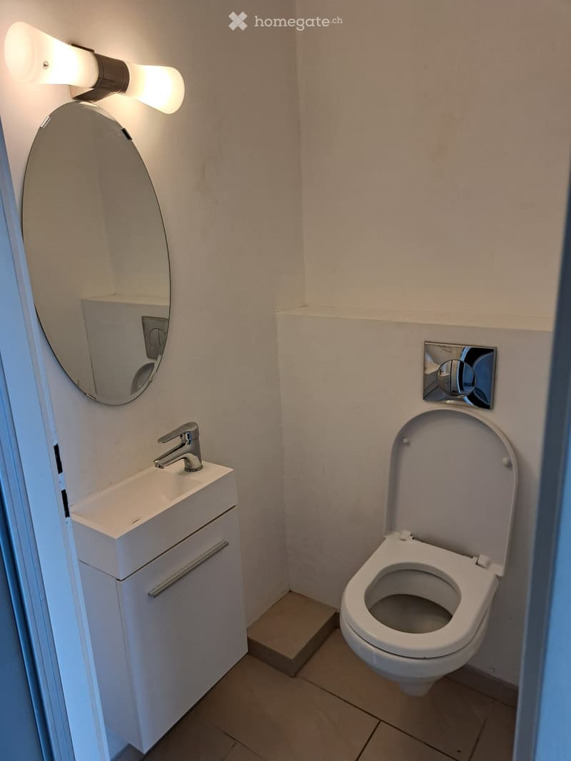 Frauen WG, möbliertes Zimmer in Frauen-Wg nähe Zürich (5)