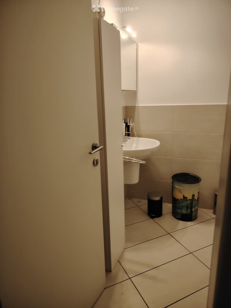 SUBENTRANTE MODERNO APPARTAMENTO 4,5 ARREDATO - MENDRISIO (4)