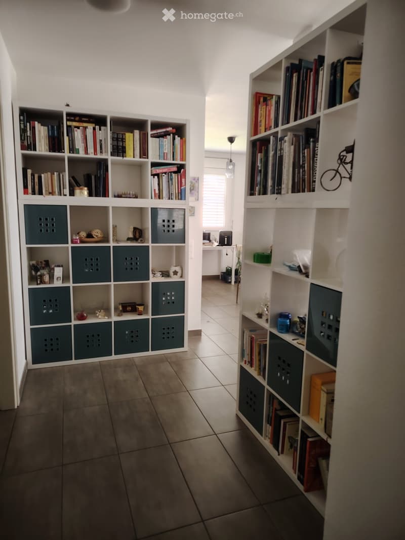 SUBENTRANTE MODERNO APPARTAMENTO 4,5 ARREDATO - MENDRISIO (1)