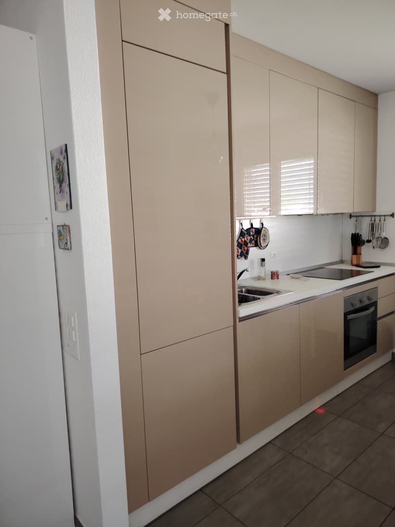 SUBENTRANTE MODERNO APPARTAMENTO 4,5 ARREDATO - MENDRISIO (2)
