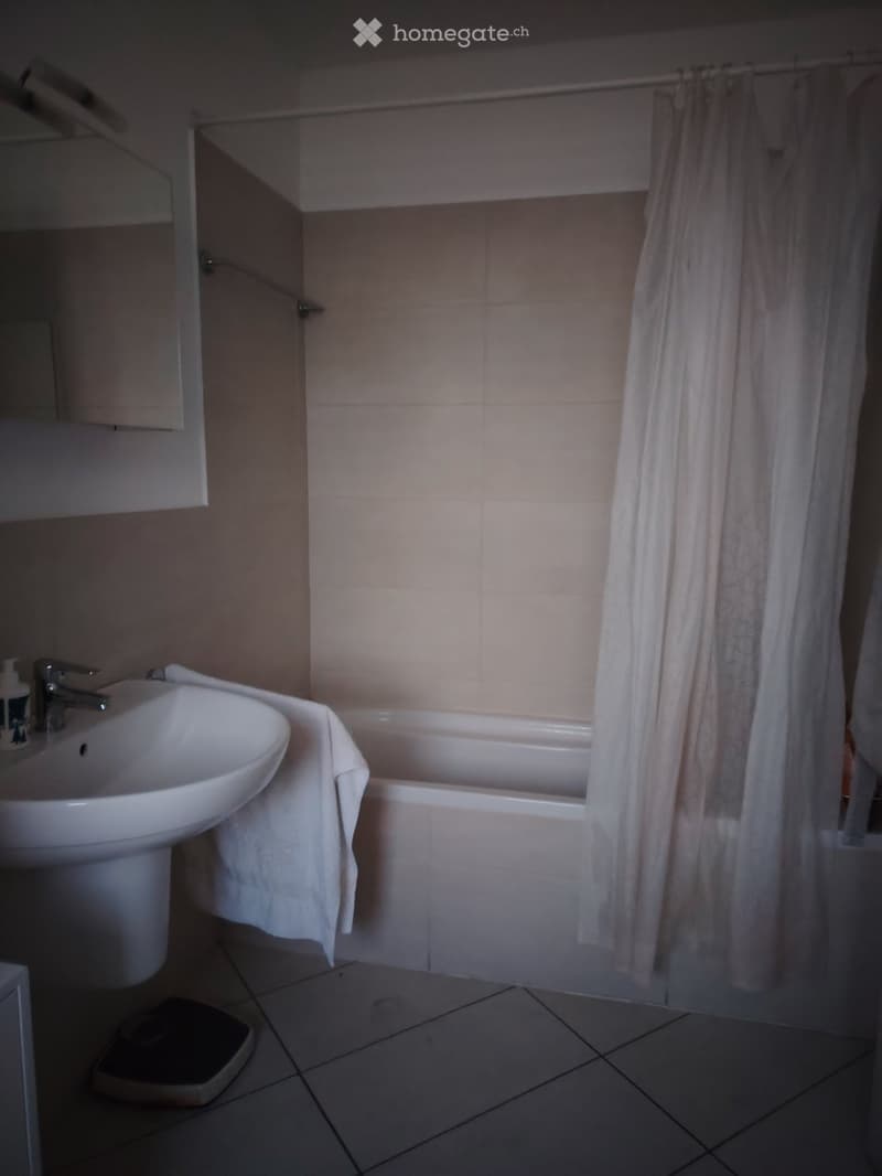 SUBENTRANTE MODERNO APPARTAMENTO 4,5 ARREDATO - MENDRISIO (5)