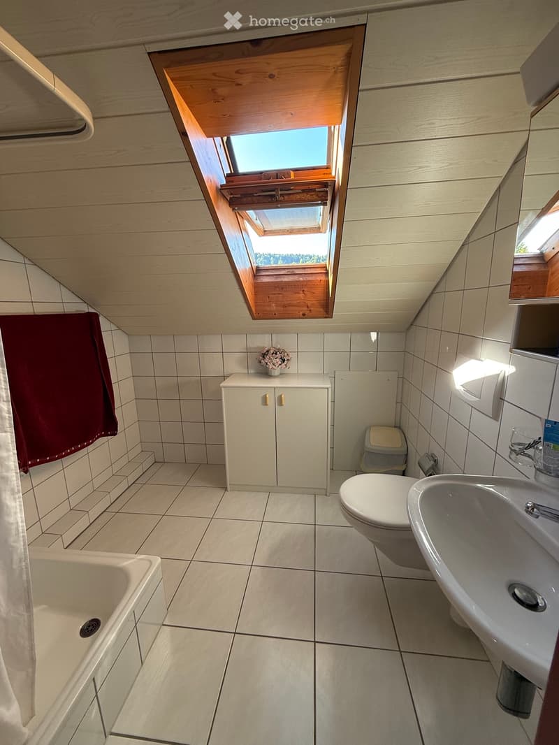 Studio Helle Dachwohnung Inkl. Möbel (2)