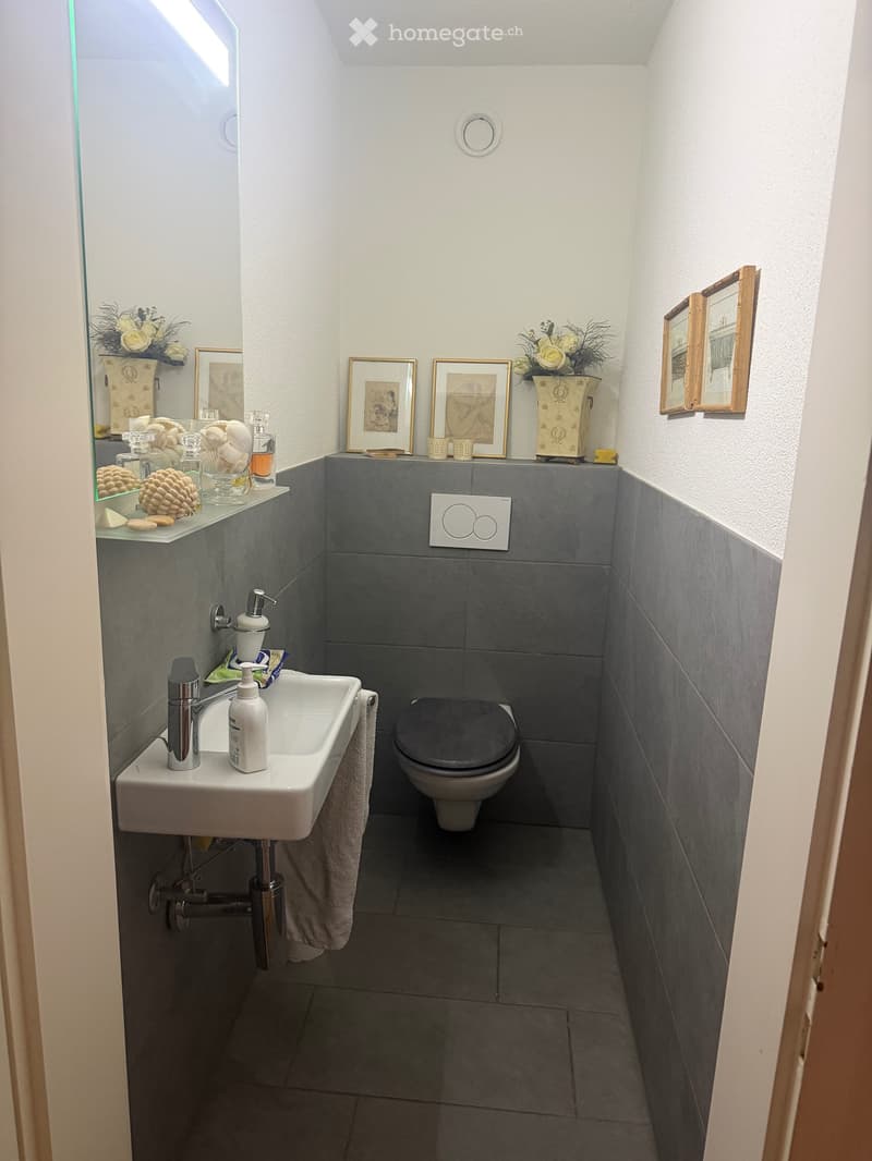 3.5 Zimmer Wohnung (1)
