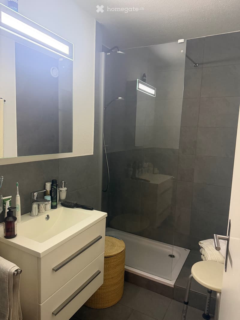 3.5 Zimmer Wohnung (2)