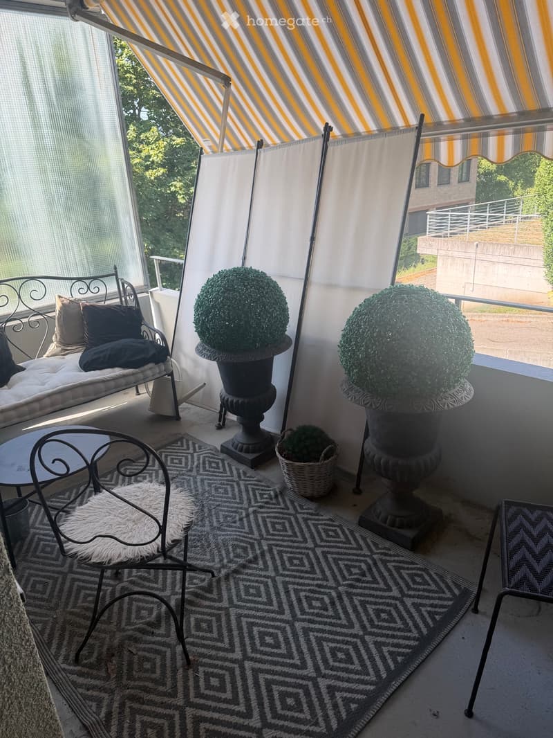 3.5 Zimmer Wohnung (3)
