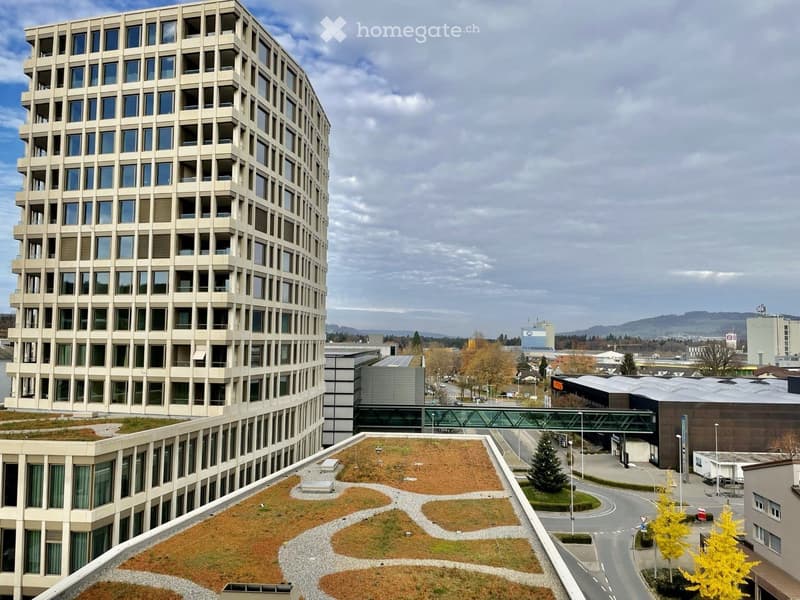 Moderne 2.5-Zimmerwohnung im Dreiklang Sursee (1)