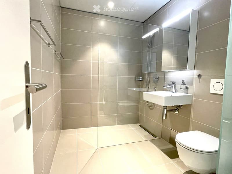 Moderne 2.5-Zimmerwohnung im Dreiklang Sursee (4)