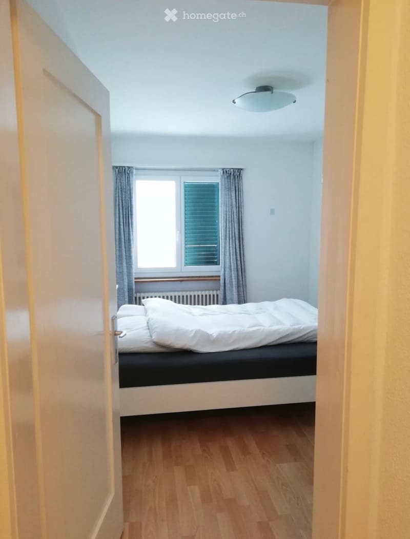Room Available in Tax-Friendly Zug (2)