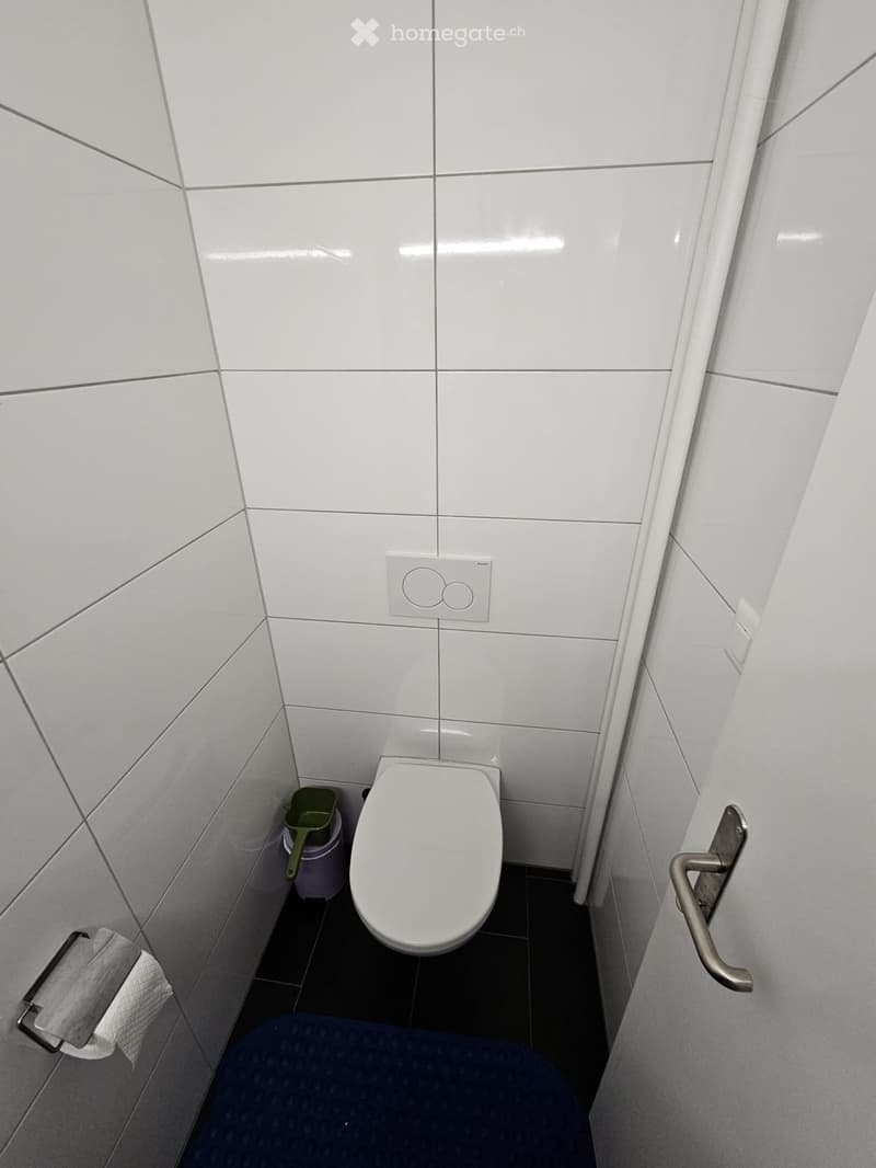 Grosse 4.5 Zimmerwohnung  frisch renoviert (3)