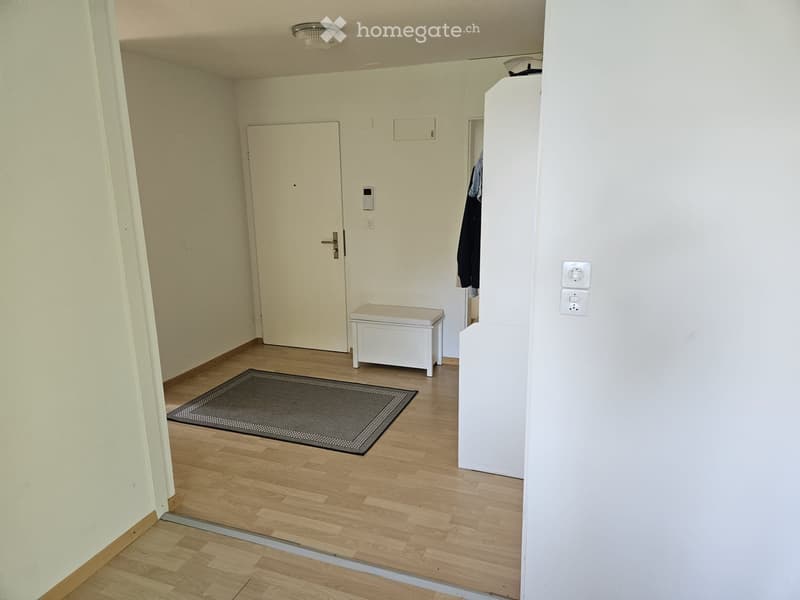 Grosse 4.5 Zimmerwohnung  frisch renoviert (5)