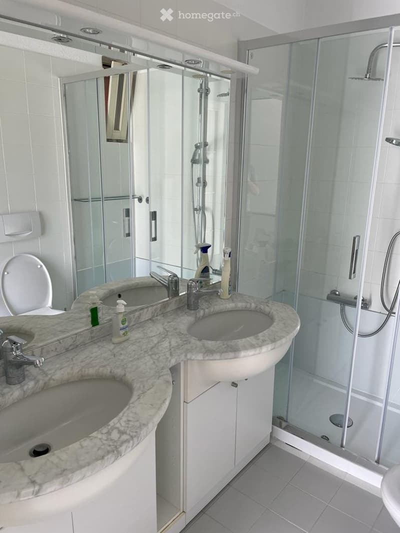 AFFITTASI A MINUSIO - DUPLEX 3 ½ LOCALI (4)