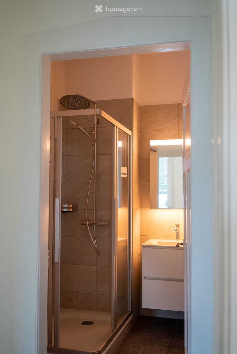 3 Zimmer-Wohnung (2)