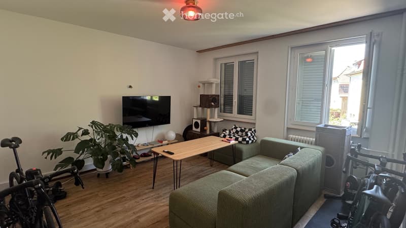 Renovierte 3.5-Zimmer-Wohnung mit neuer Küche ab 01.11.2026 (3)