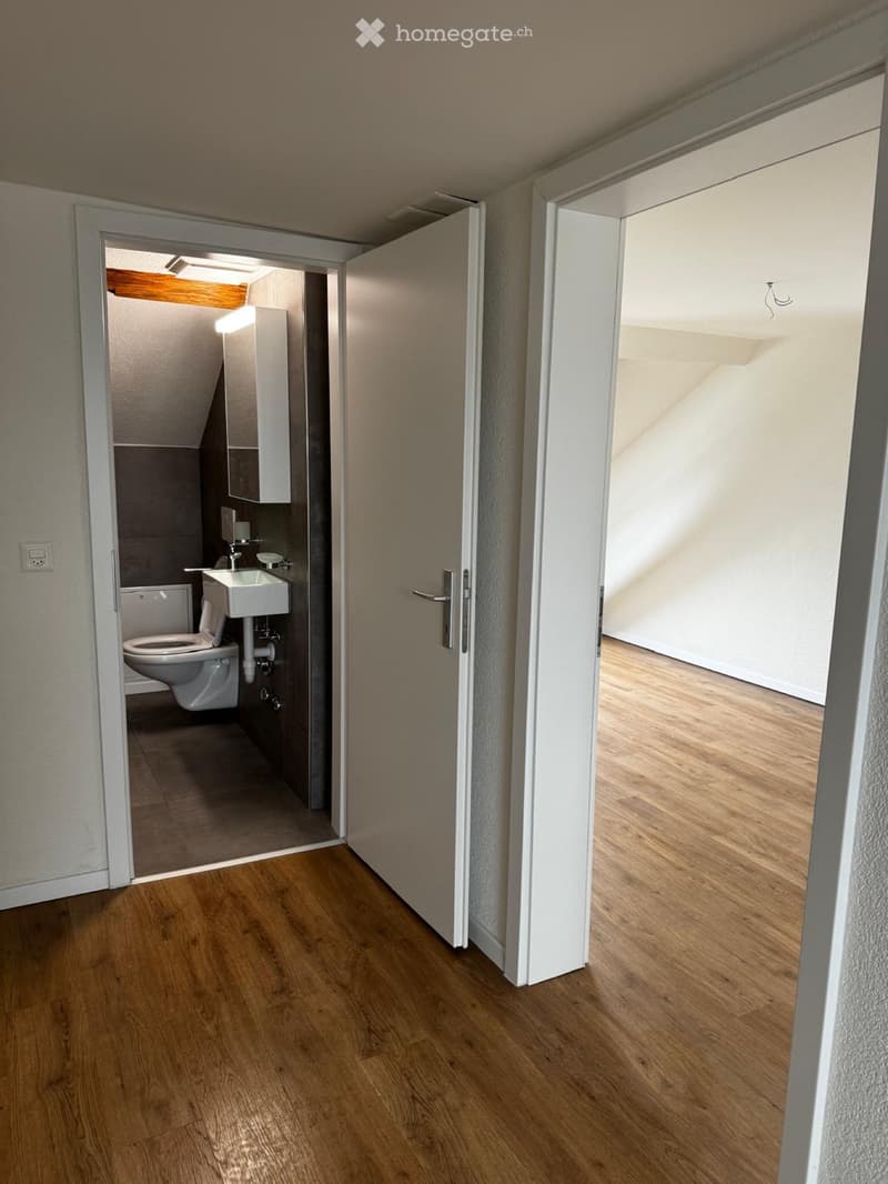 2,5 Zimmer Wohnung Kanton Zug (3)
