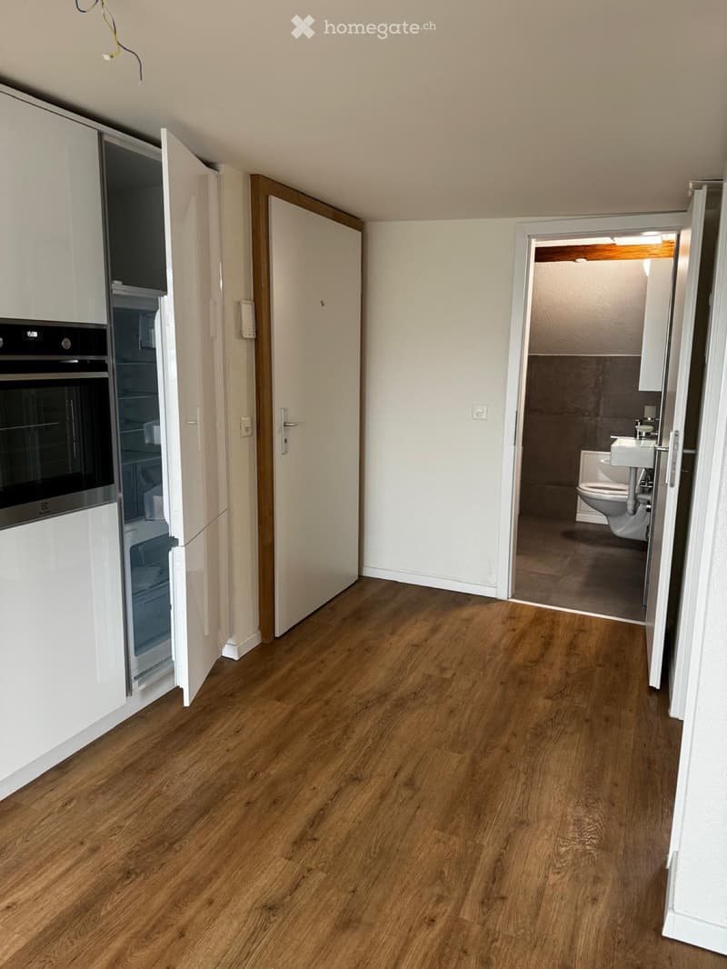 2,5 Zimmer Wohnung Kanton Zug (2)