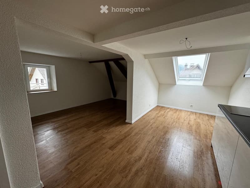 2,5 Zimmer Wohnung Kanton Zug (1)