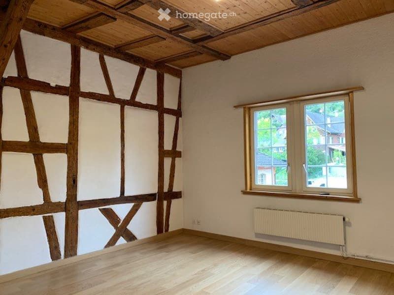 Aussergewöhnliche, renovierte 2 1/2 Zimmer Wohnung (4)
