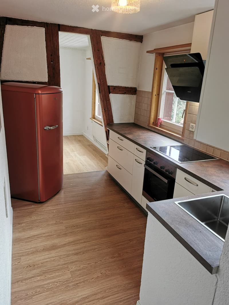 Aussergewöhnliche, renovierte 2 1/2 Zimmer Wohnung (2)