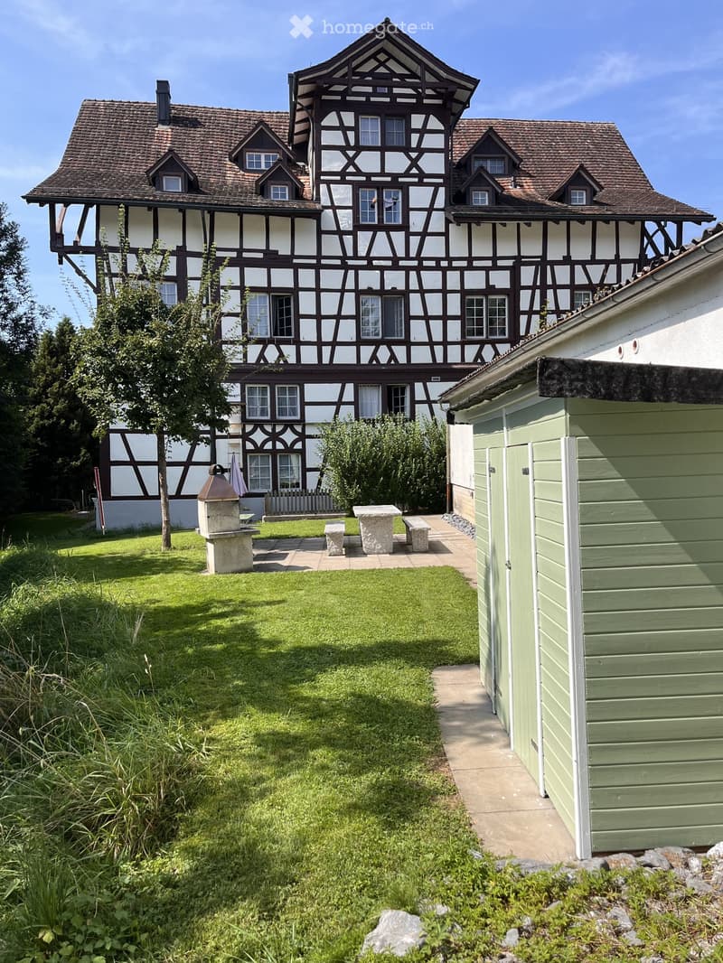 Aussergewöhnliche, renovierte 2 1/2 Zimmer Wohnung (1)