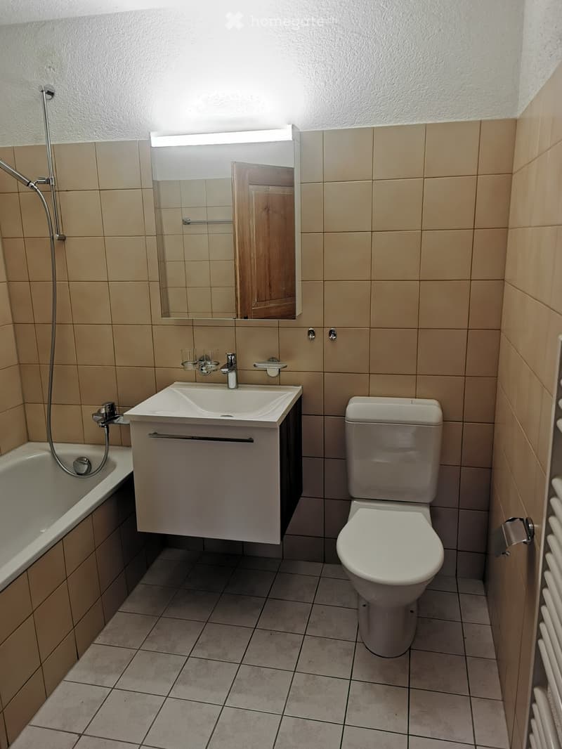 Aussergewöhnliche, renovierte 2 1/2 Zimmer Wohnung (5)