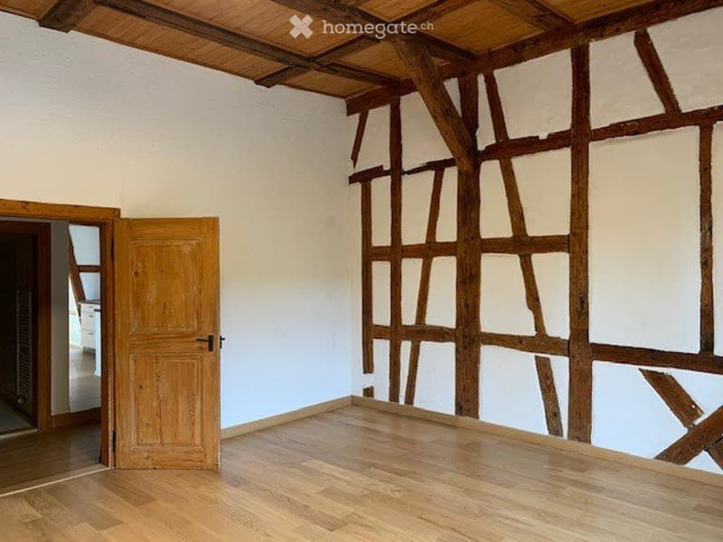 Aussergewöhnliche, renovierte 2 1/2 Zimmer Wohnung (3)