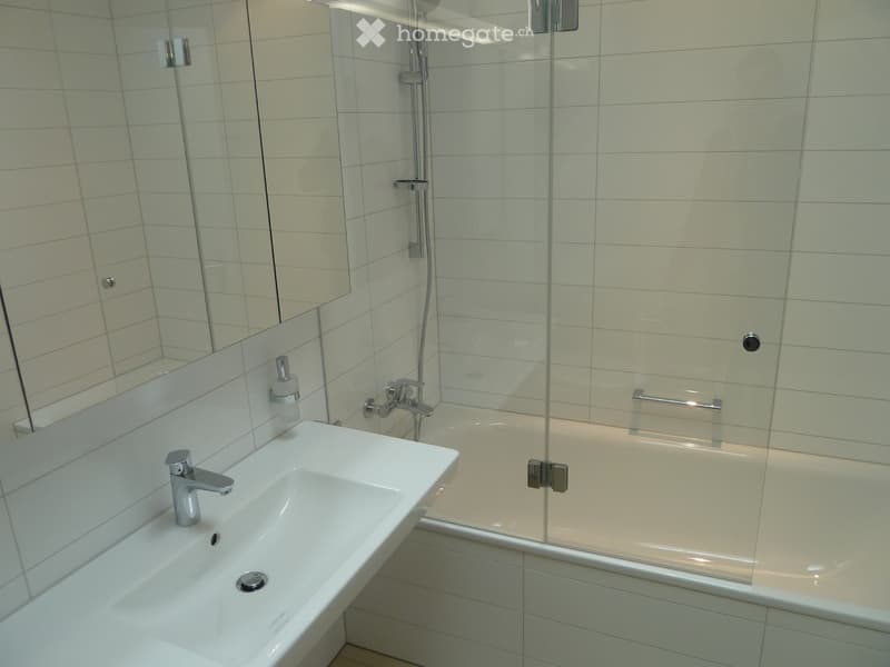 Attika 2.5 Wettingen (5)