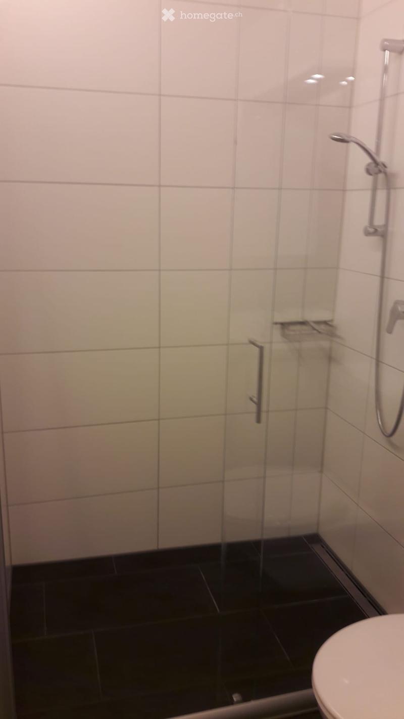 Zu vermieten 1.5 Zimmerwohnung (3)
