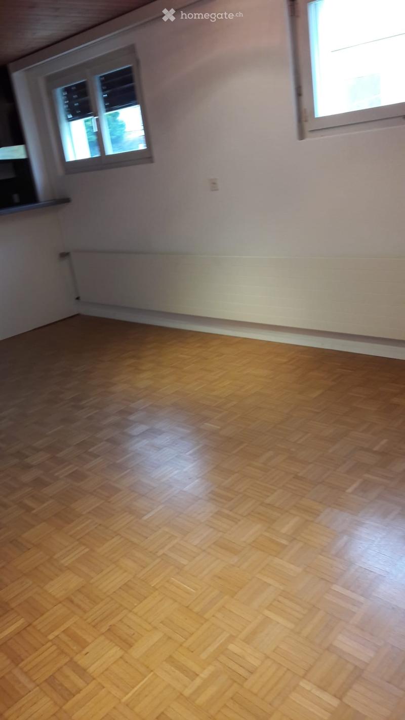 Zu vermieten 1.5 Zimmerwohnung (5)