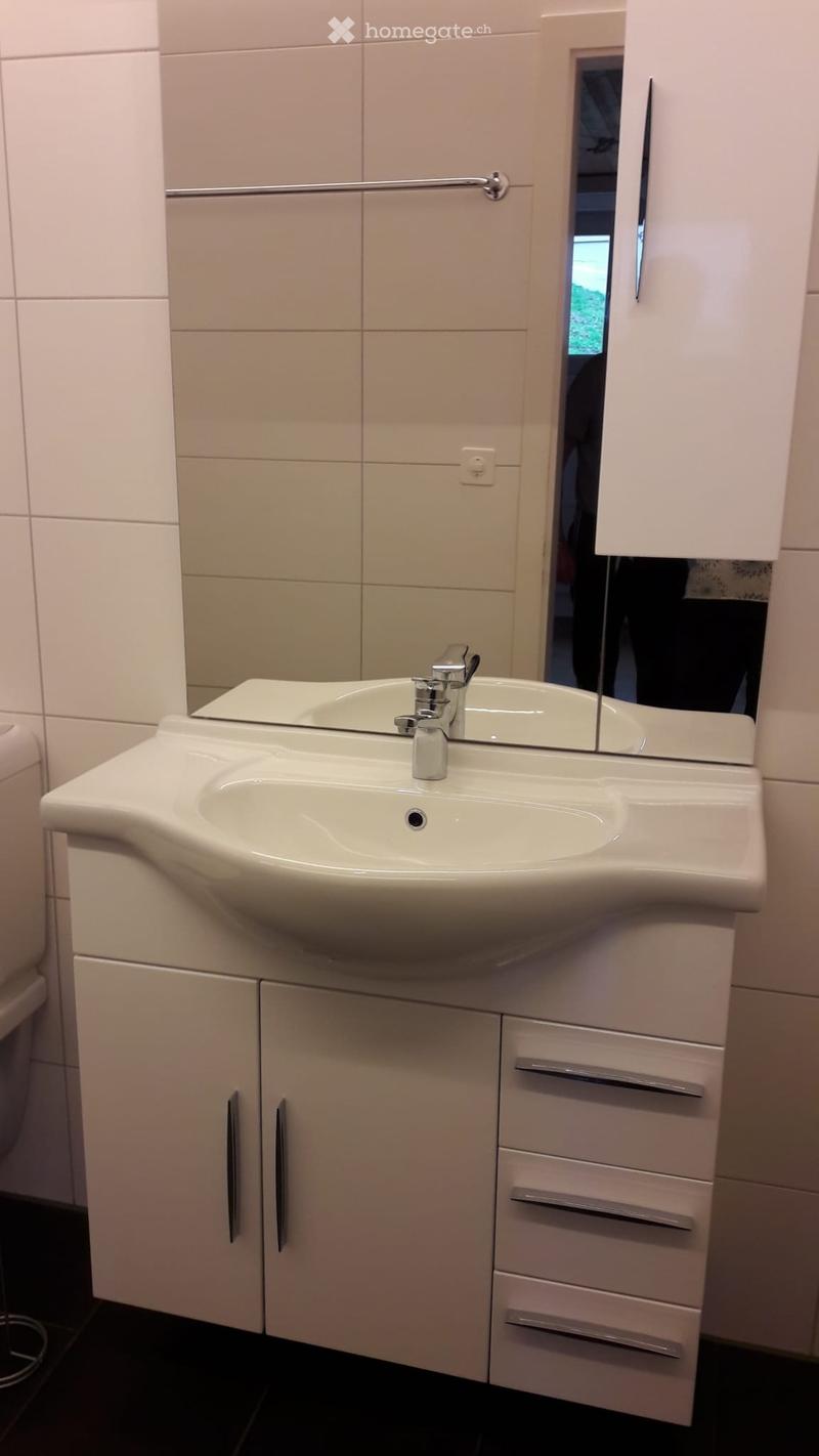 Zu vermieten 1.5 Zimmerwohnung (4)