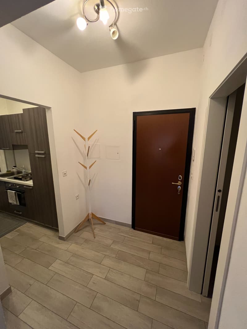 2.5 locali ristrutturati in centro Lugano/zona USI (3)