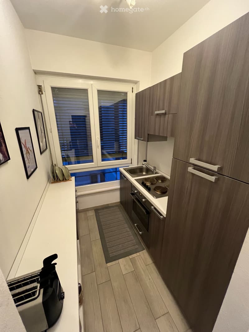 2.5 locali ristrutturati in centro Lugano/zona USI (5)