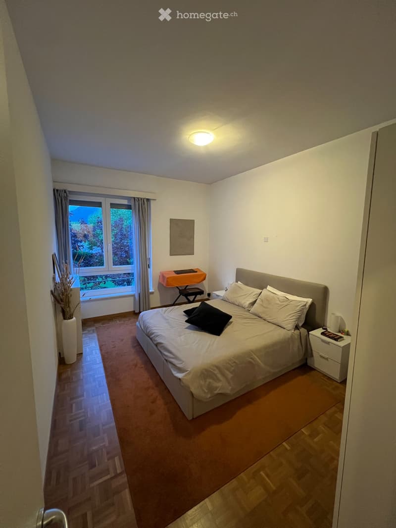 2.5 locali ristrutturati in centro Lugano/zona USI (1)