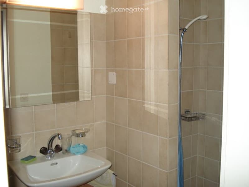 Studio Wohnung in Würenlingen (4)