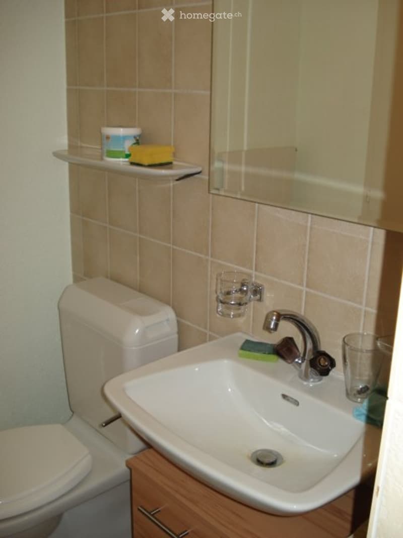 Studio Wohnung in Würenlingen (3)