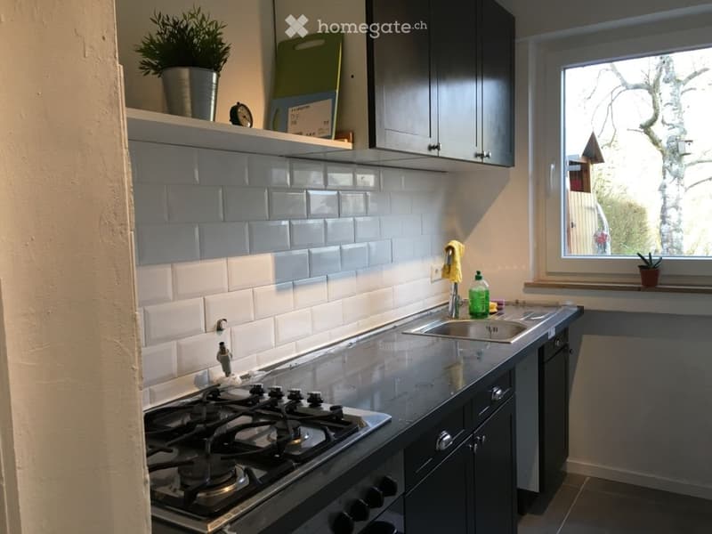 Vermieten diese grosszügige 1.5-Zimmerwohnung in der Enge (4)