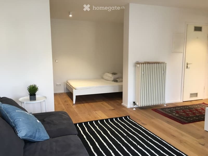 Vermieten diese grosszügige 1.5-Zimmerwohnung in der Enge (3)