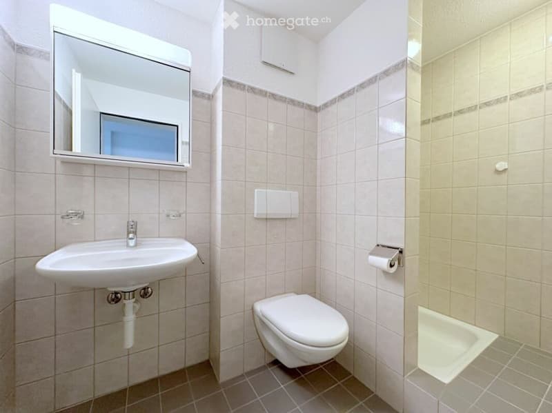 Grosse Wohnung im Grünen mit Seeblick (5)