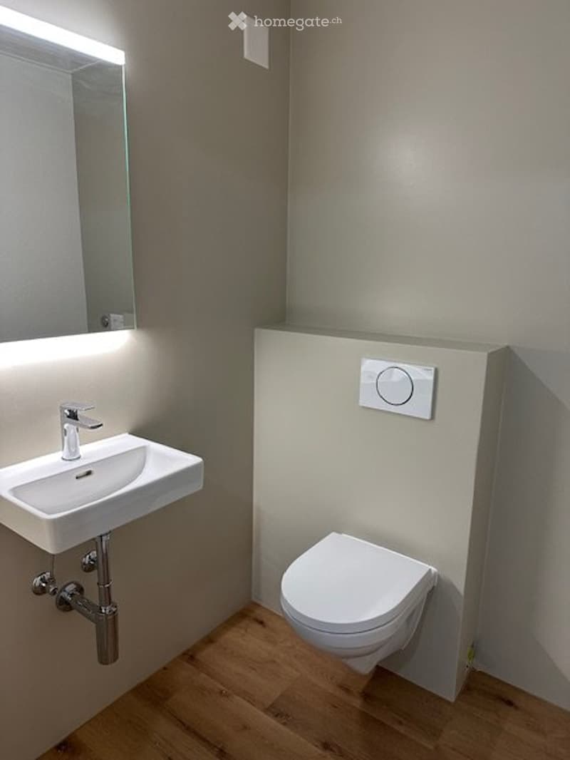 Vermiete neu renovierte 2,5 Zimmer Wohnung (4)