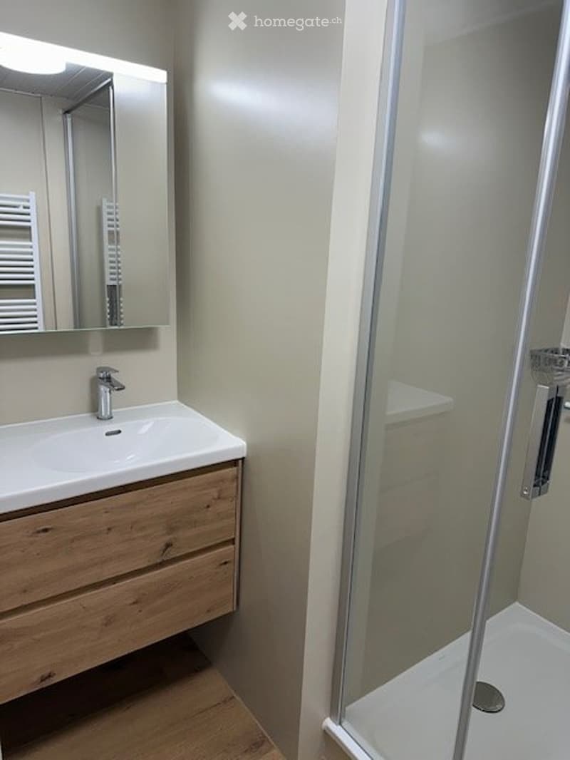 Vermiete neu renovierte 2,5 Zimmer Wohnung (5)
