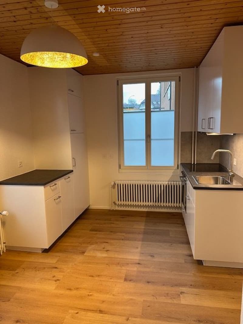 Vermiete neu renovierte 2,5 Zimmer Wohnung (2)